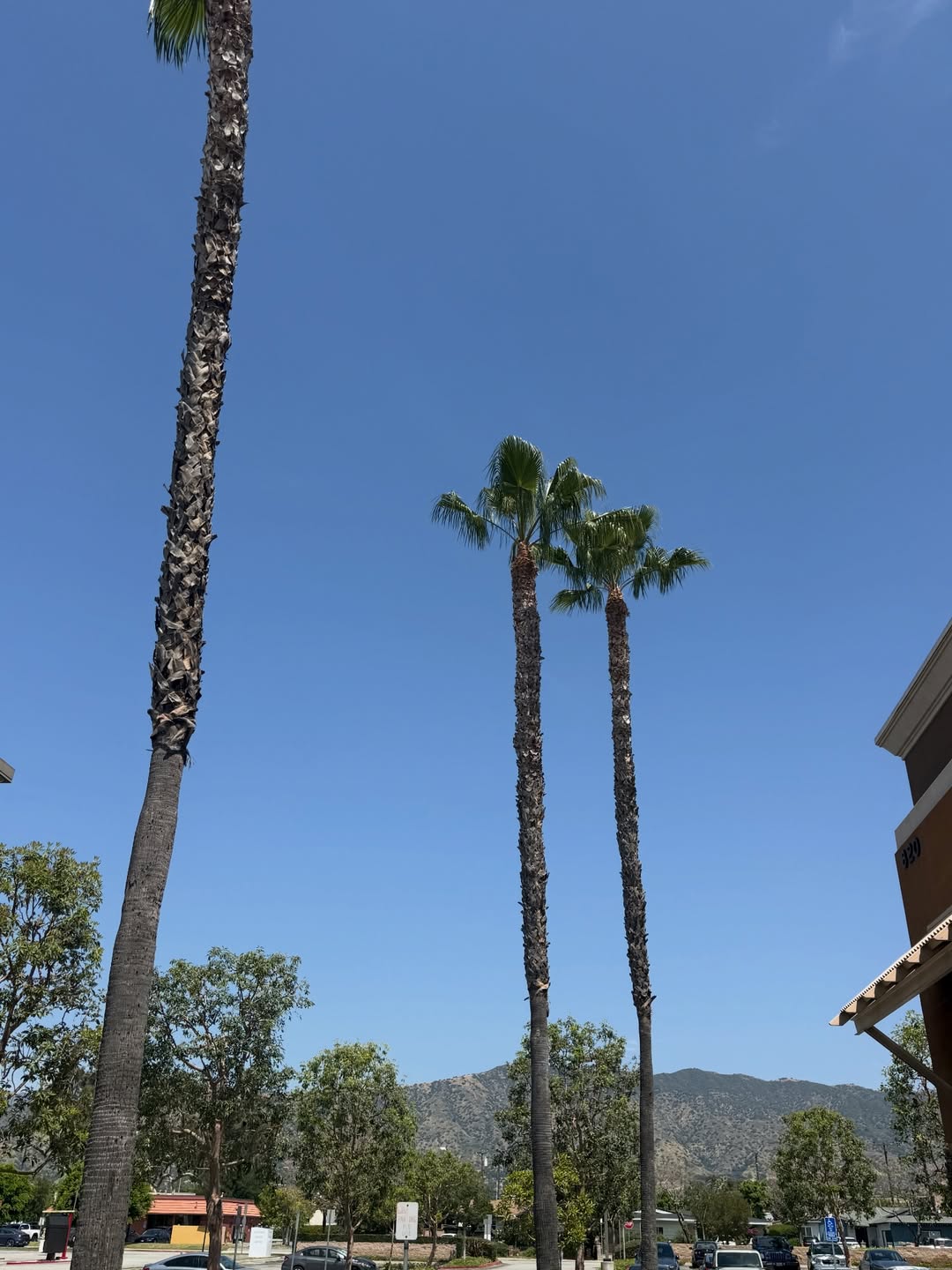 โทมัส - ธีร์ทัศน์ จึงมณีรัตน์