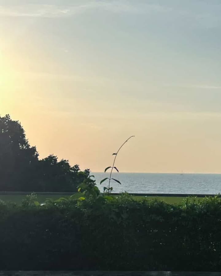 อู๋อู๋ - ธนภูมิ เศรษฐสิทธิกุล