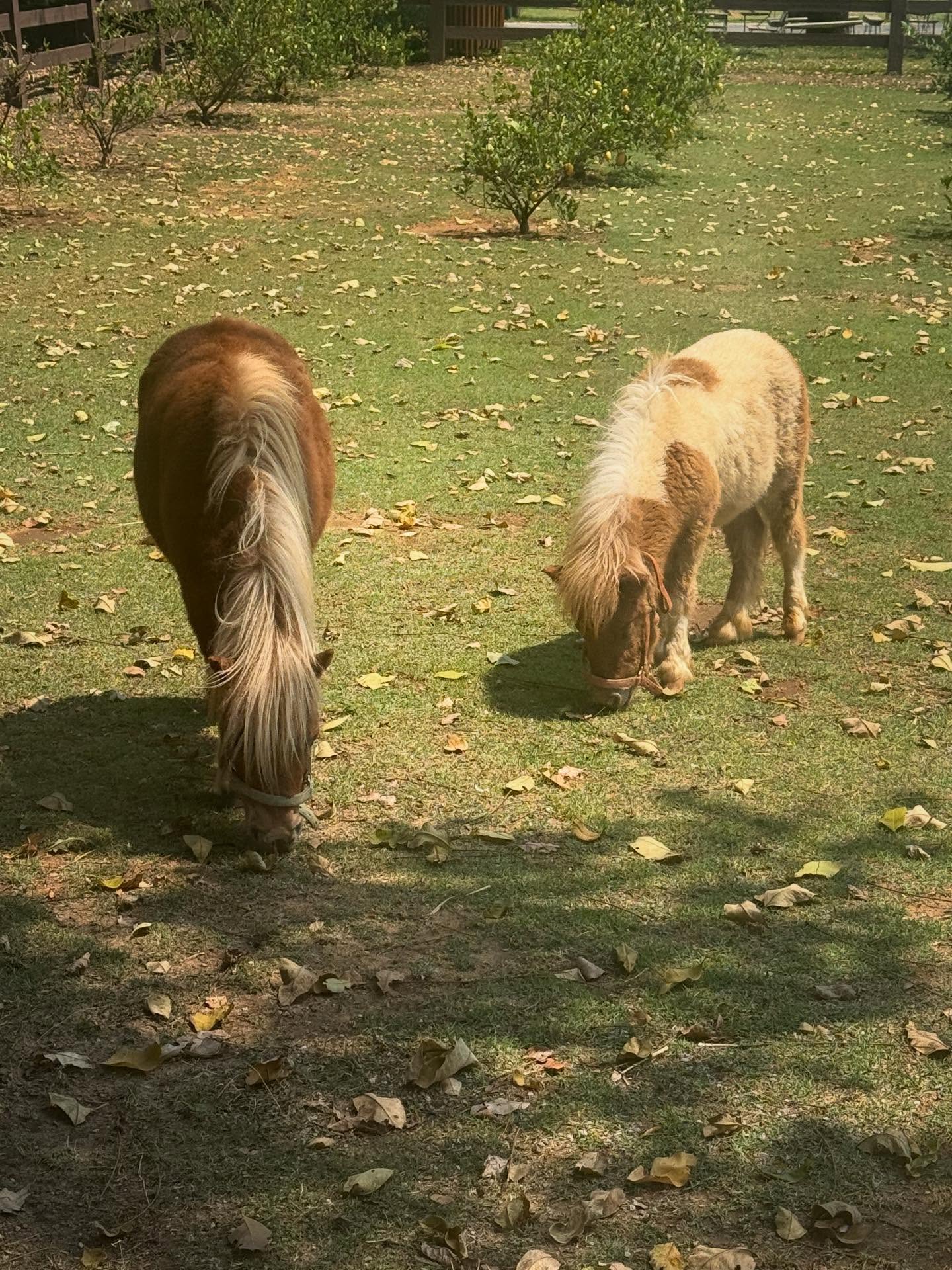 อู๋อู๋ - ธนภูมิ เศรษฐสิทธิกุล