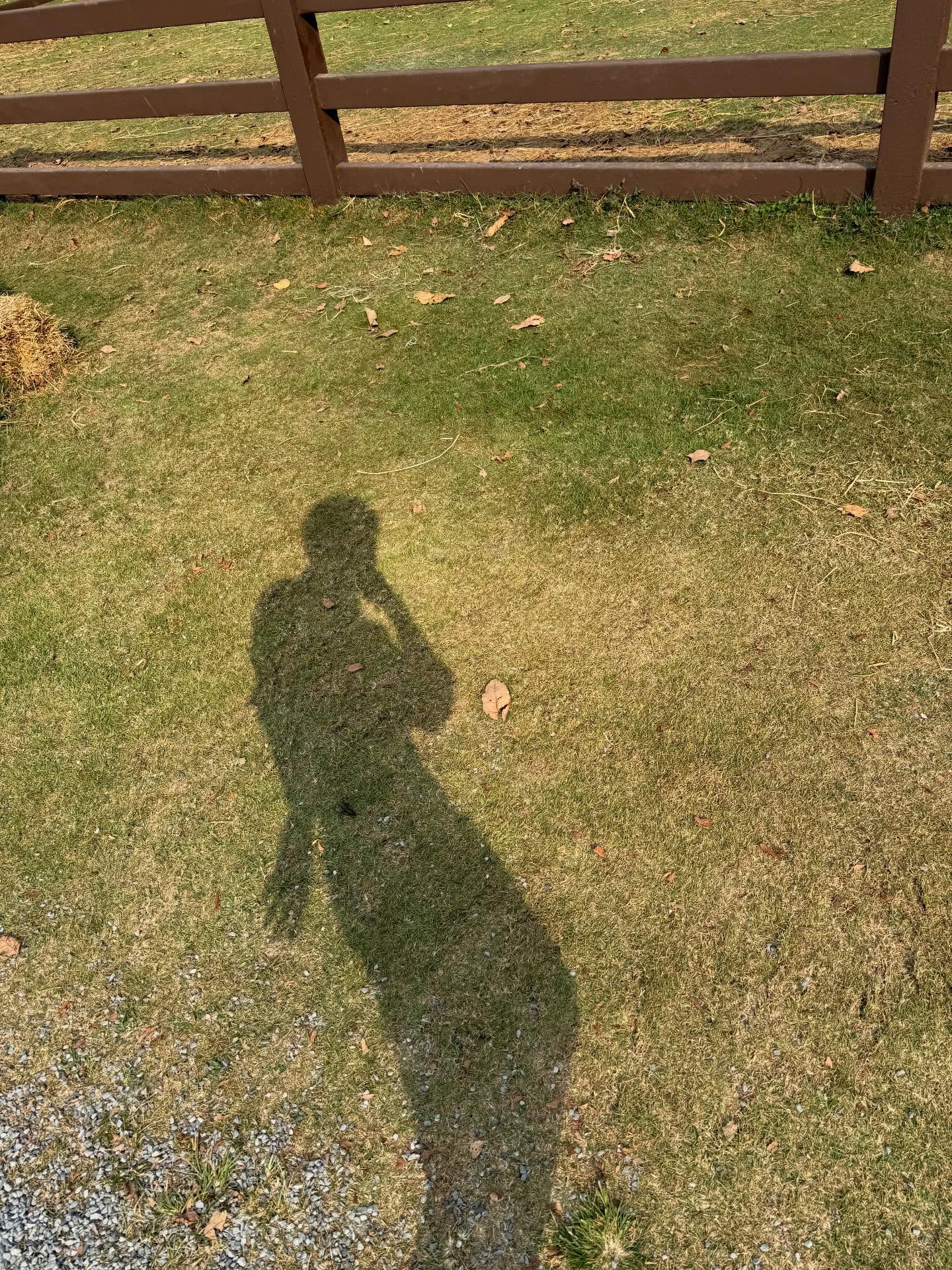 อู๋อู๋ - ธนภูมิ เศรษฐสิทธิกุล