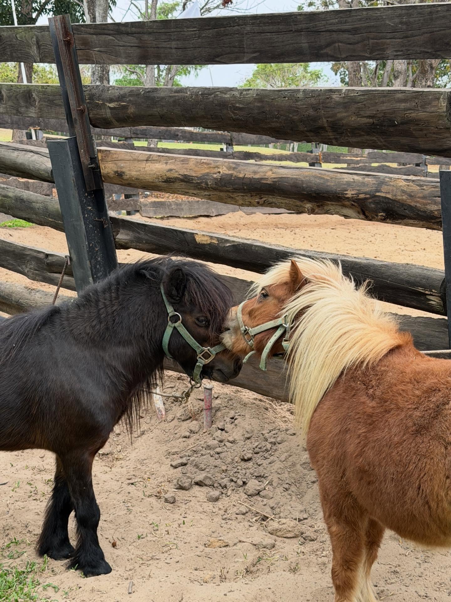 อู๋อู๋ - ธนภูมิ เศรษฐสิทธิกุล