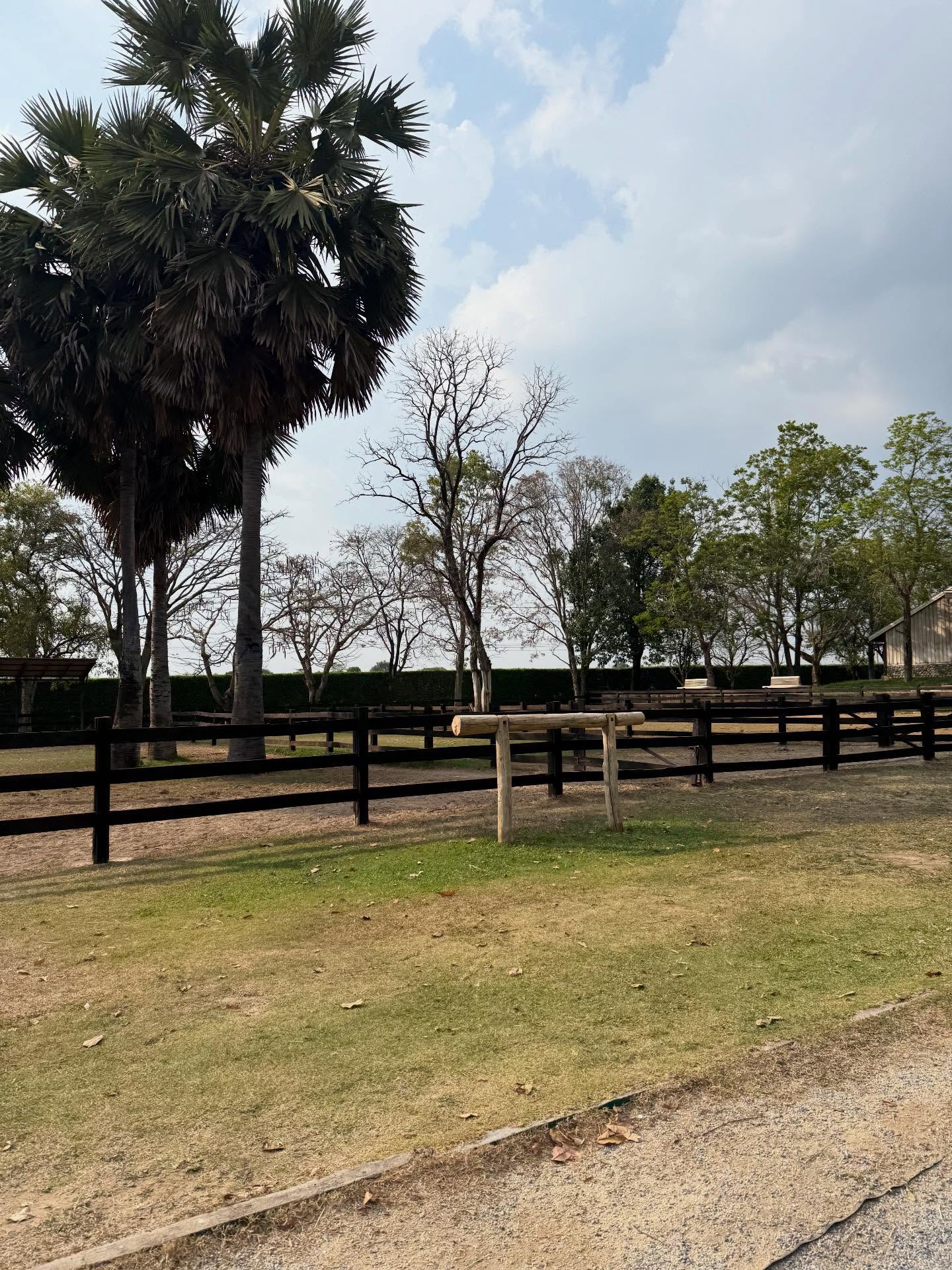 อู๋อู๋ - ธนภูมิ เศรษฐสิทธิกุล