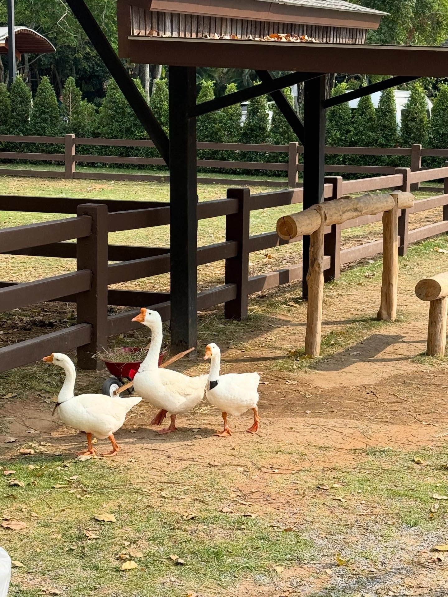 อู๋อู๋ - ธนภูมิ เศรษฐสิทธิกุล