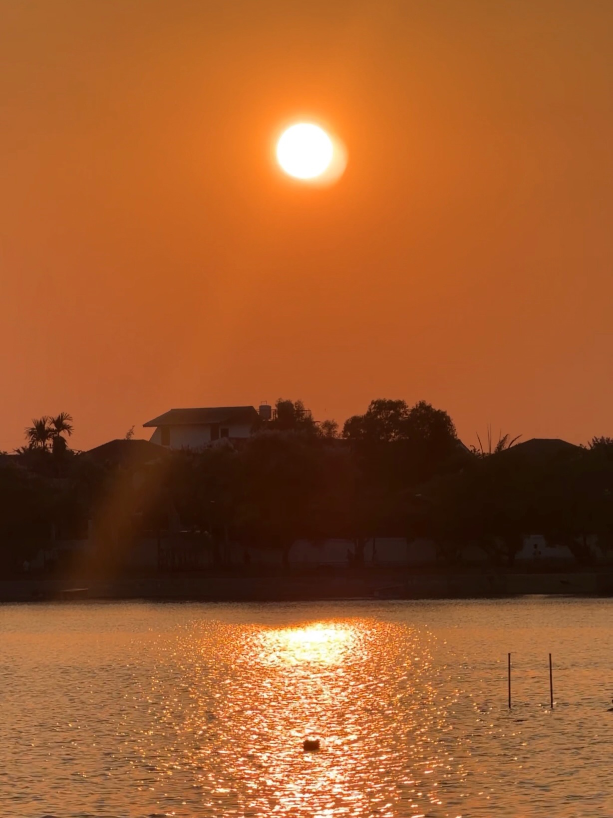 เอมี่ - ทสร กลิ่นเนียม