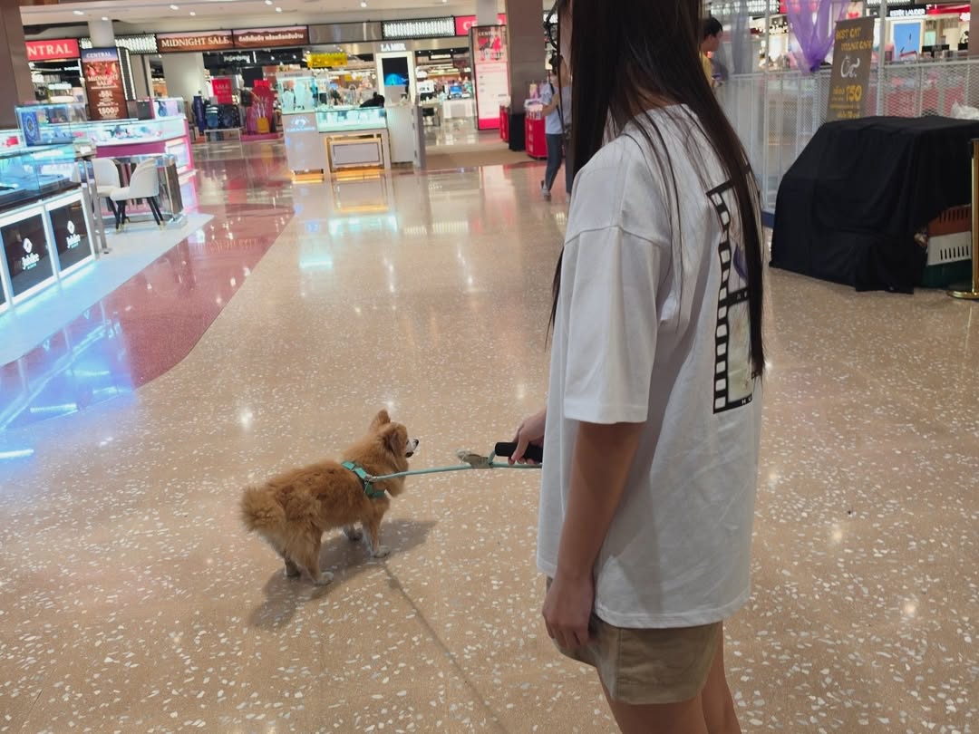 เอมี่ - ทสร กลิ่นเนียม