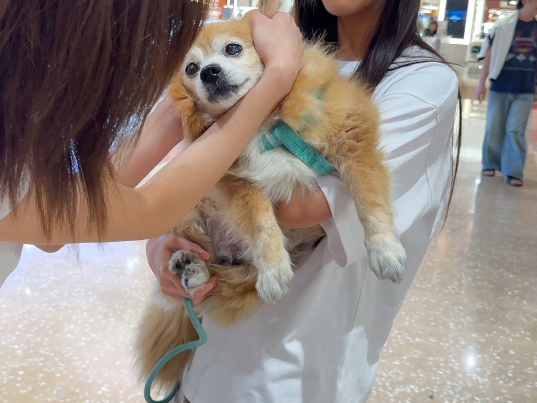 เอมี่ - ทสร กลิ่นเนียม