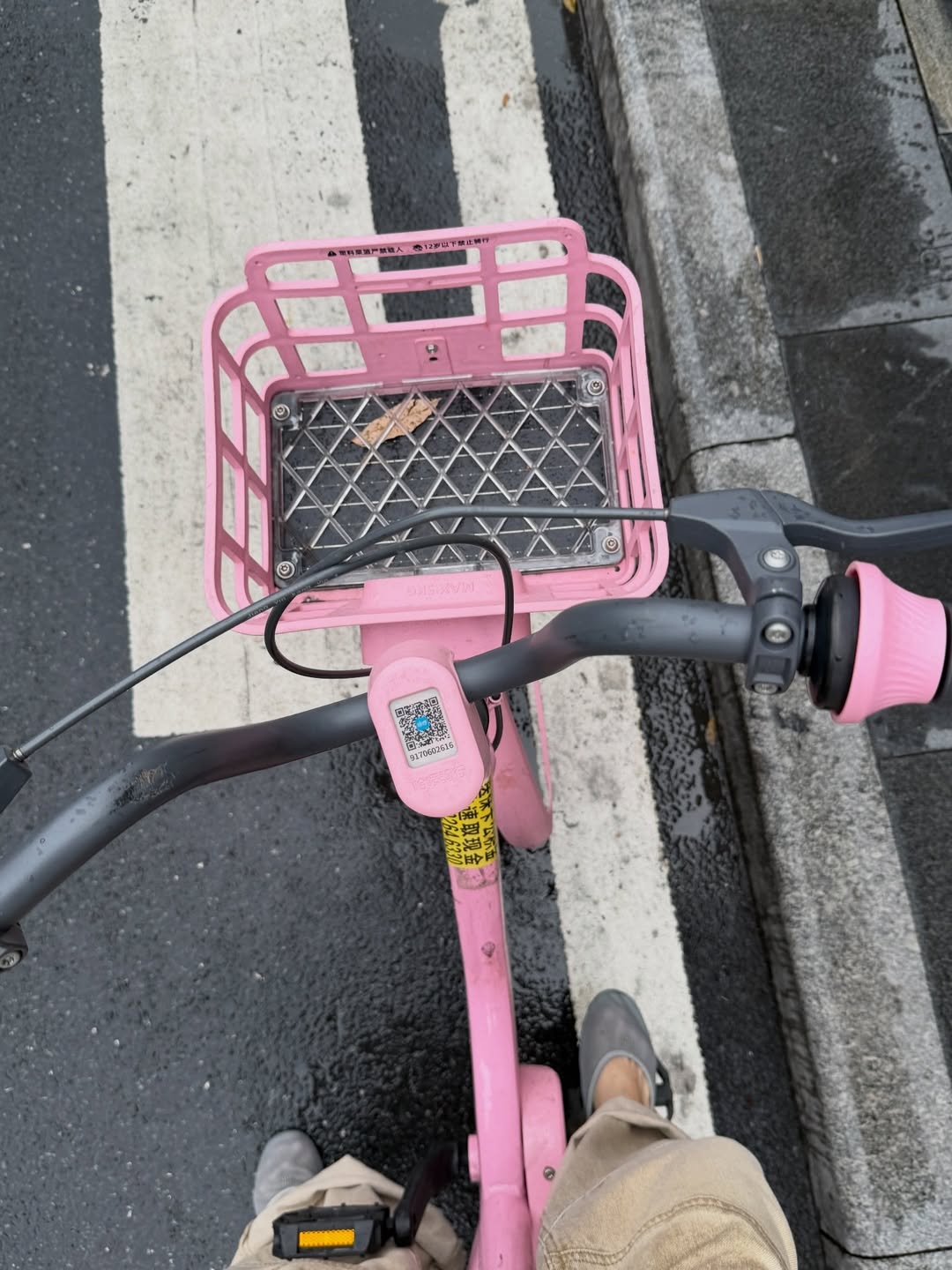 เอมี่ - ทสร กลิ่นเนียม