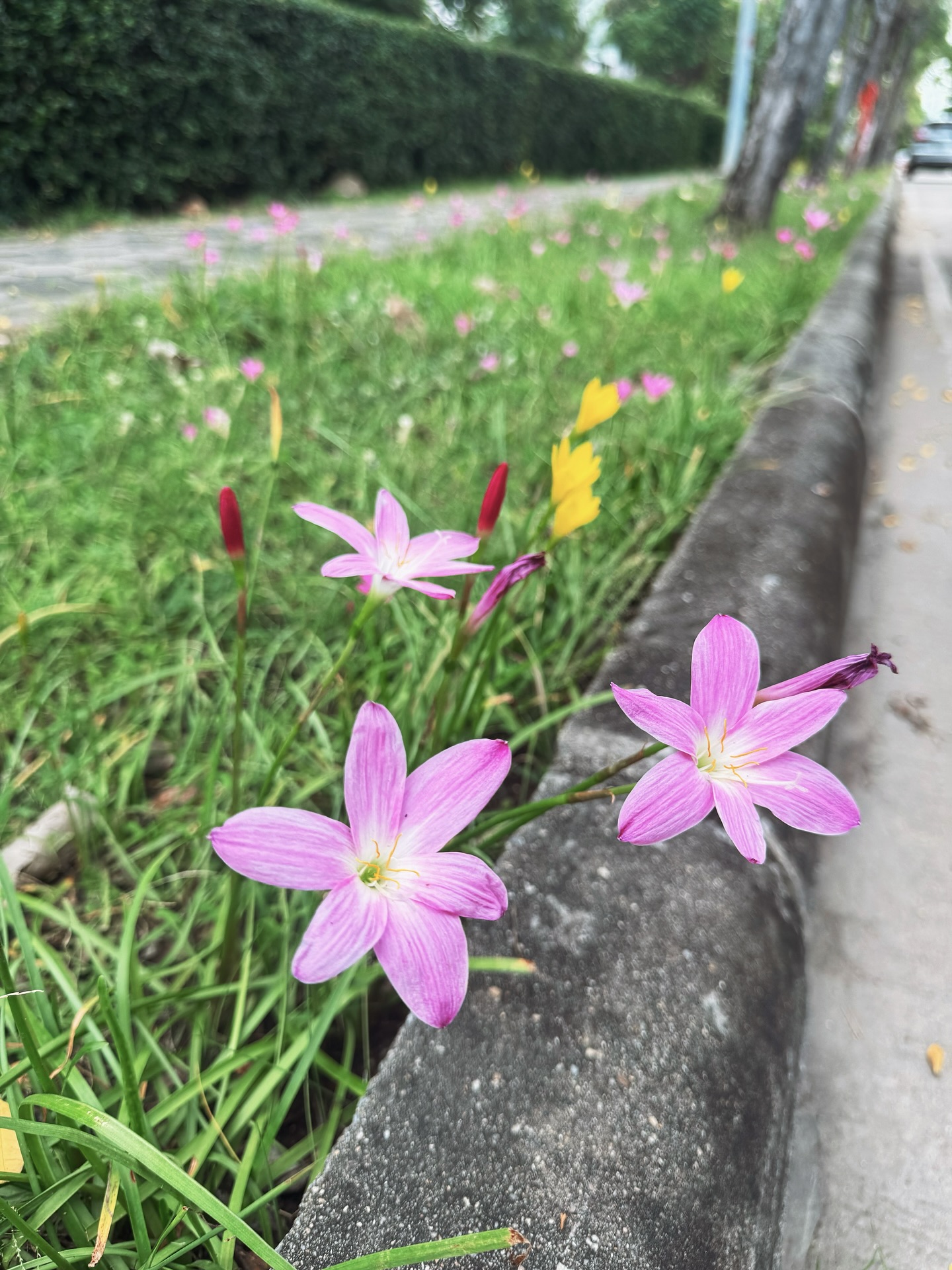 กาย - ศิวกร เลิศชูโชติ