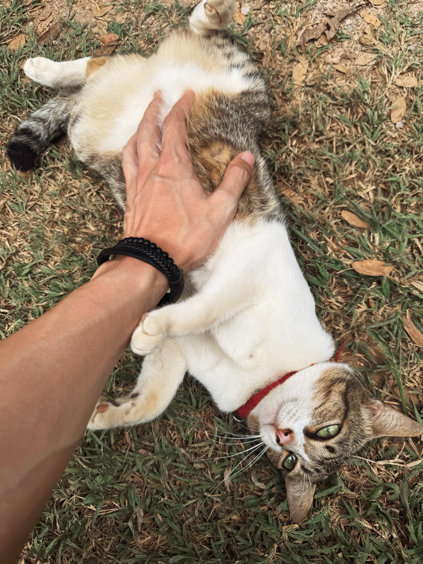 กาย - ศิวกร เลิศชูโชติ