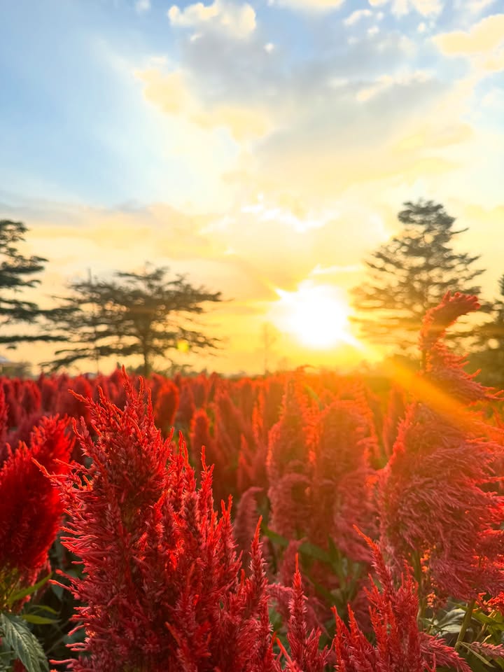 กาย - ศิวกร เลิศชูโชติ