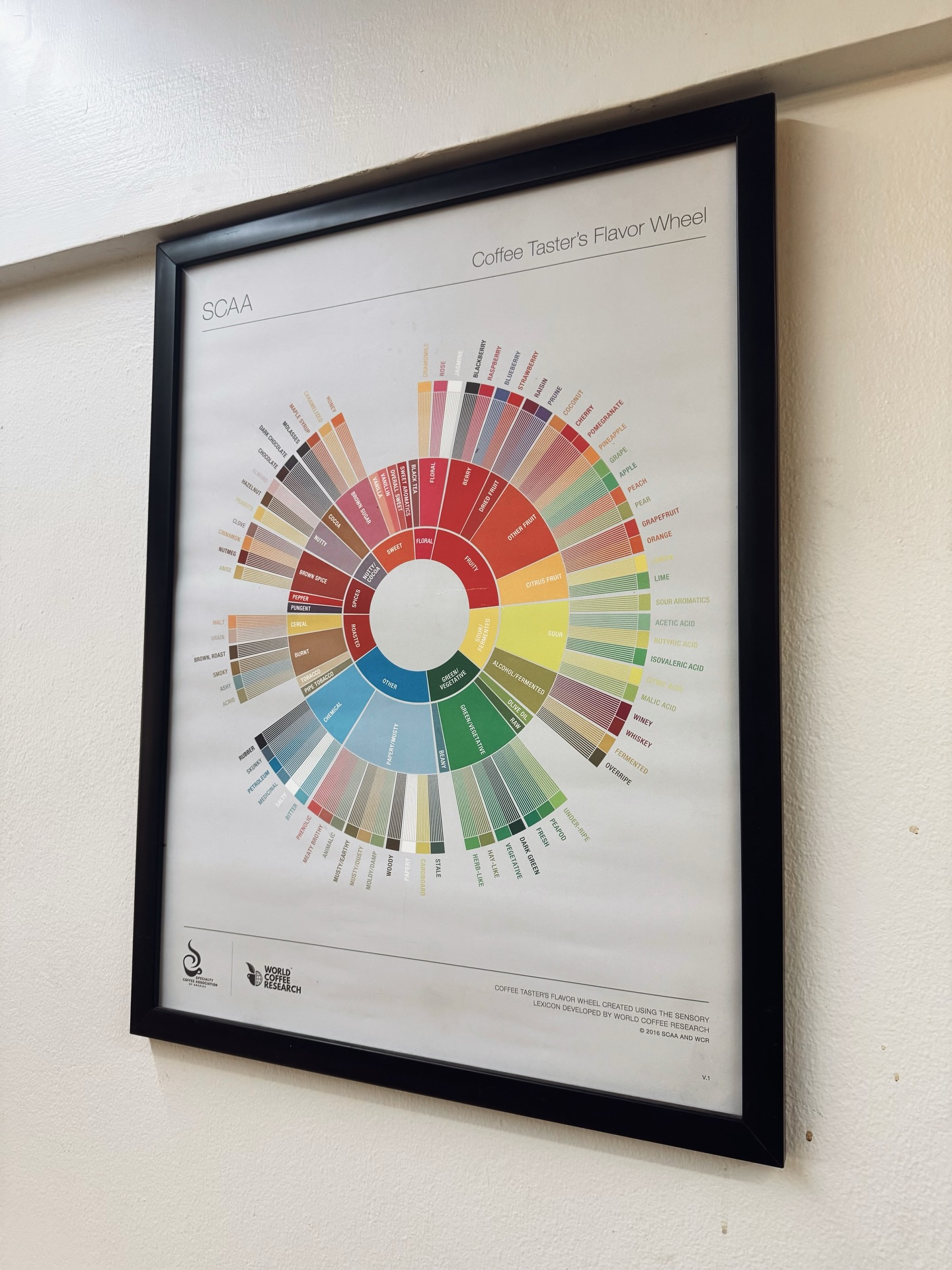กาย - ศิวกร เลิศชูโชติ