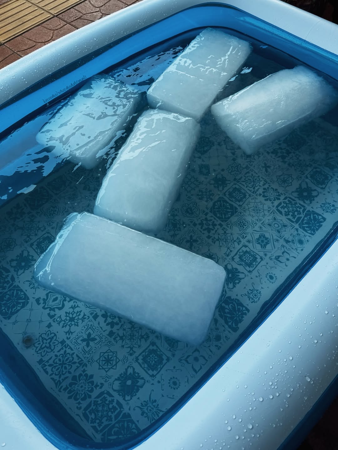 กาย - ศิวกร เลิศชูโชติ