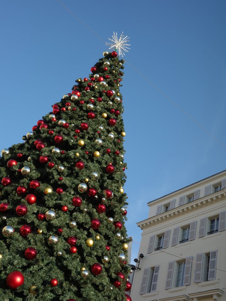 มาร์กี้ - ราศรี บาเล็นซิเอก้า จิราธิวัฒน์