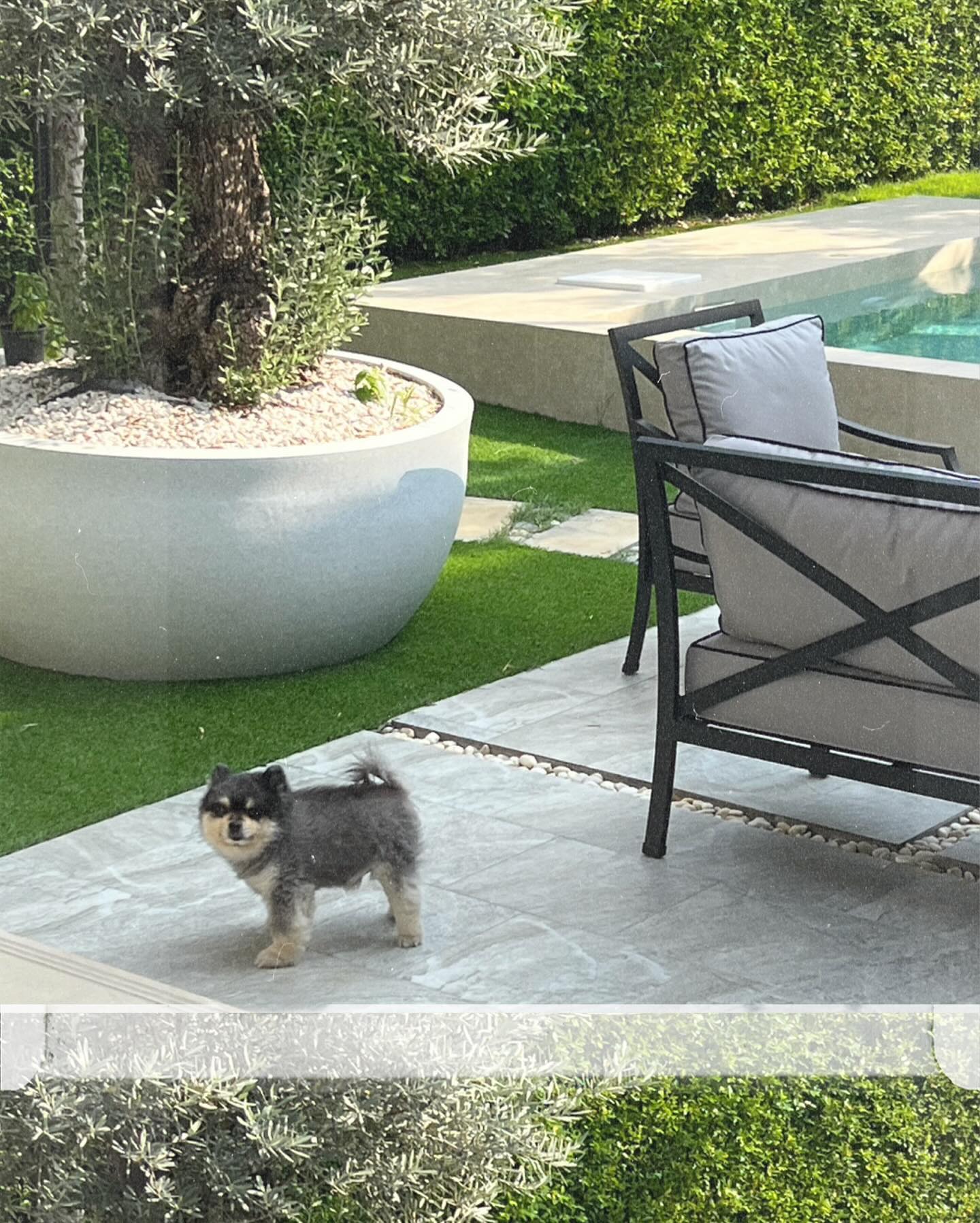 หมาก - ปริญ สุภารัตน์