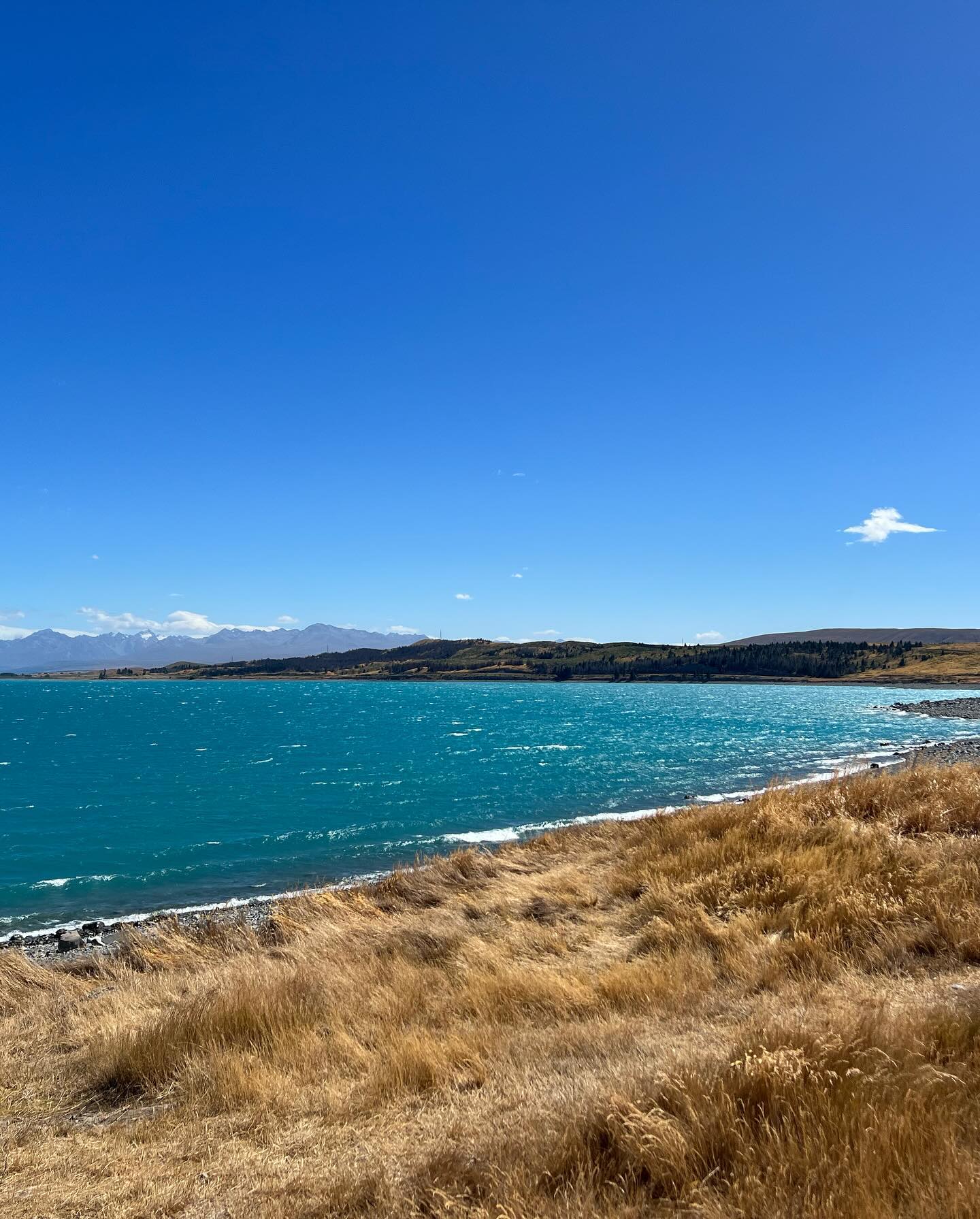 หมาก - ปริญ สุภารัตน์