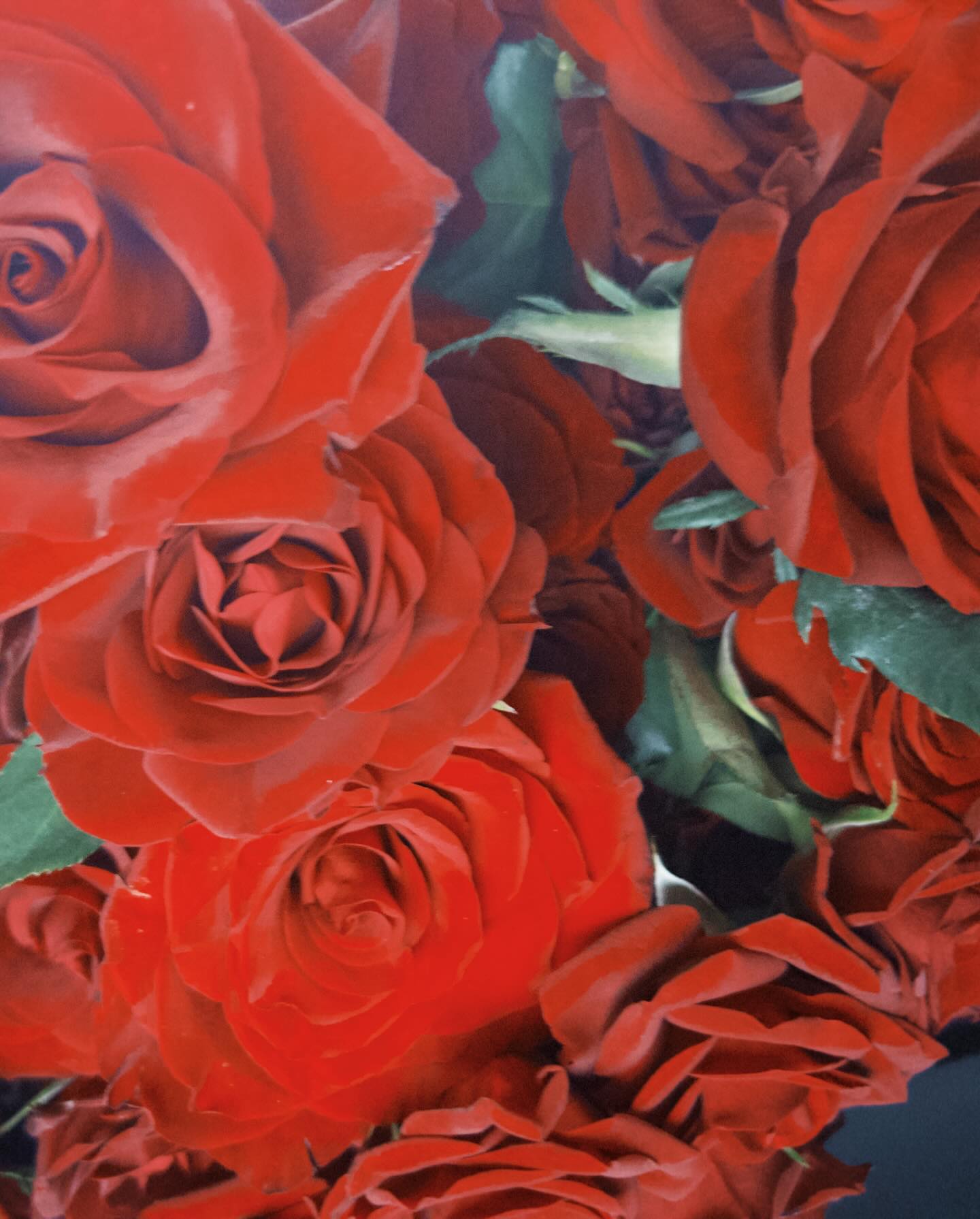 หมาก - ปริญ สุภารัตน์