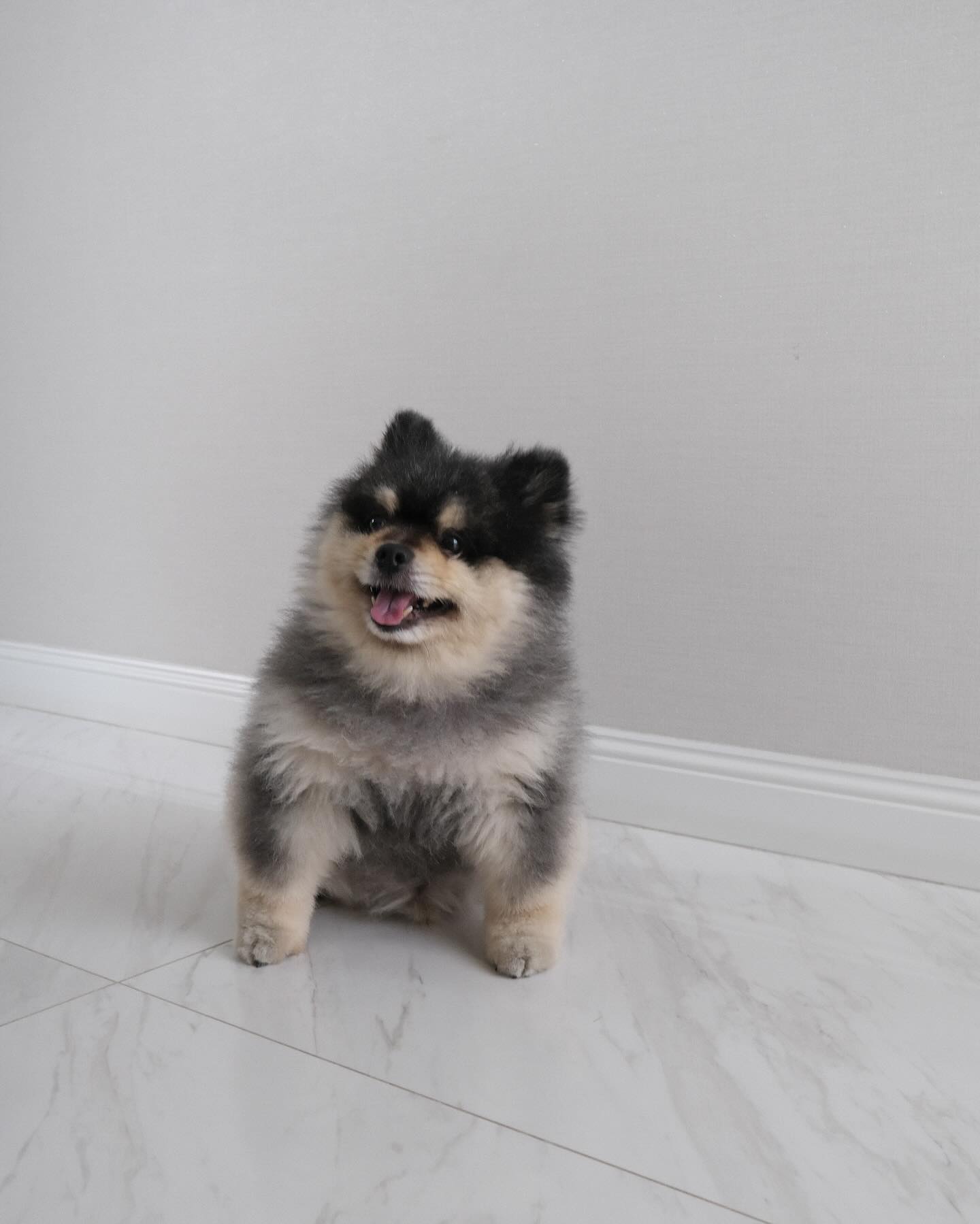 หมาก - ปริญ สุภารัตน์