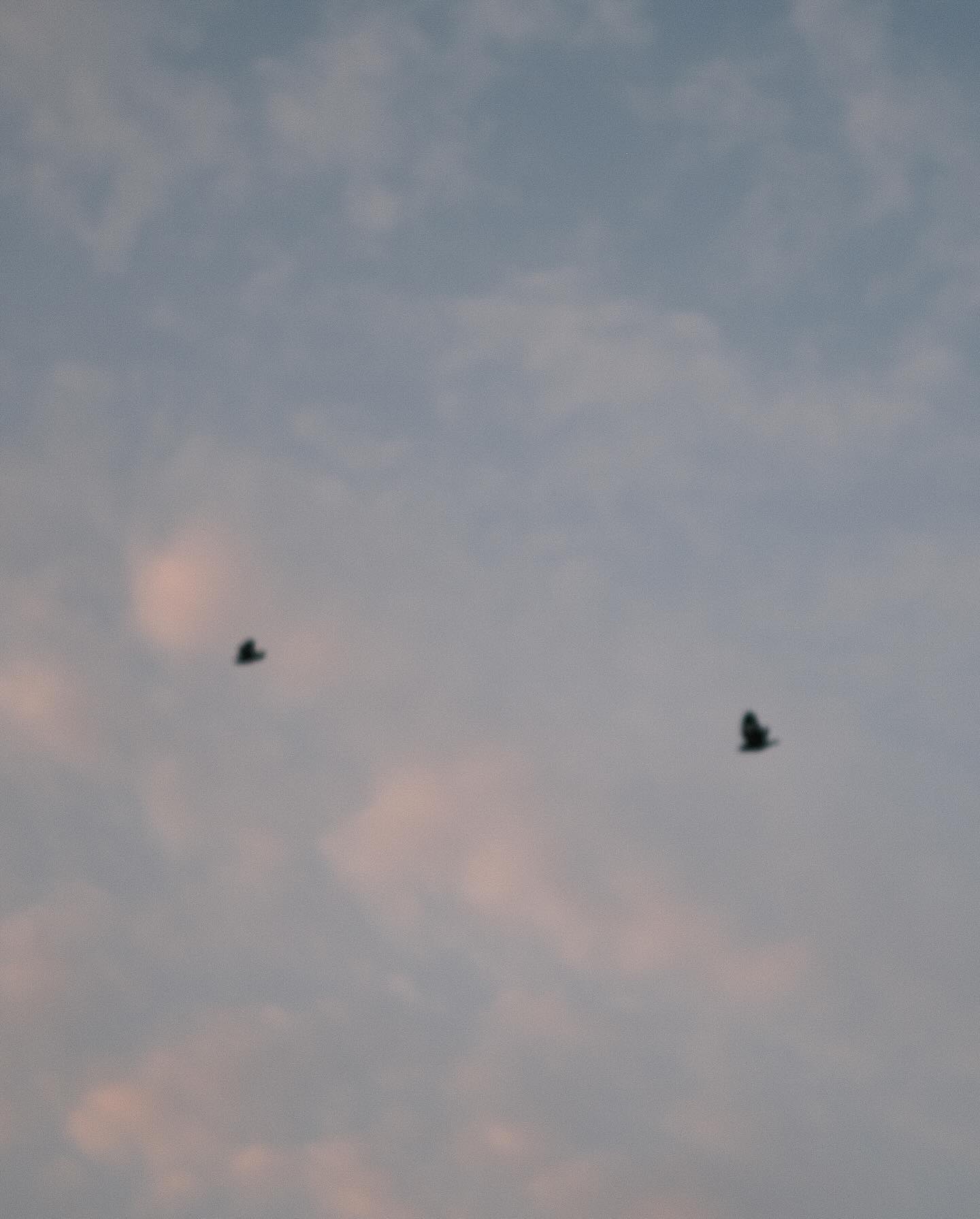 หมาก - ปริญ สุภารัตน์