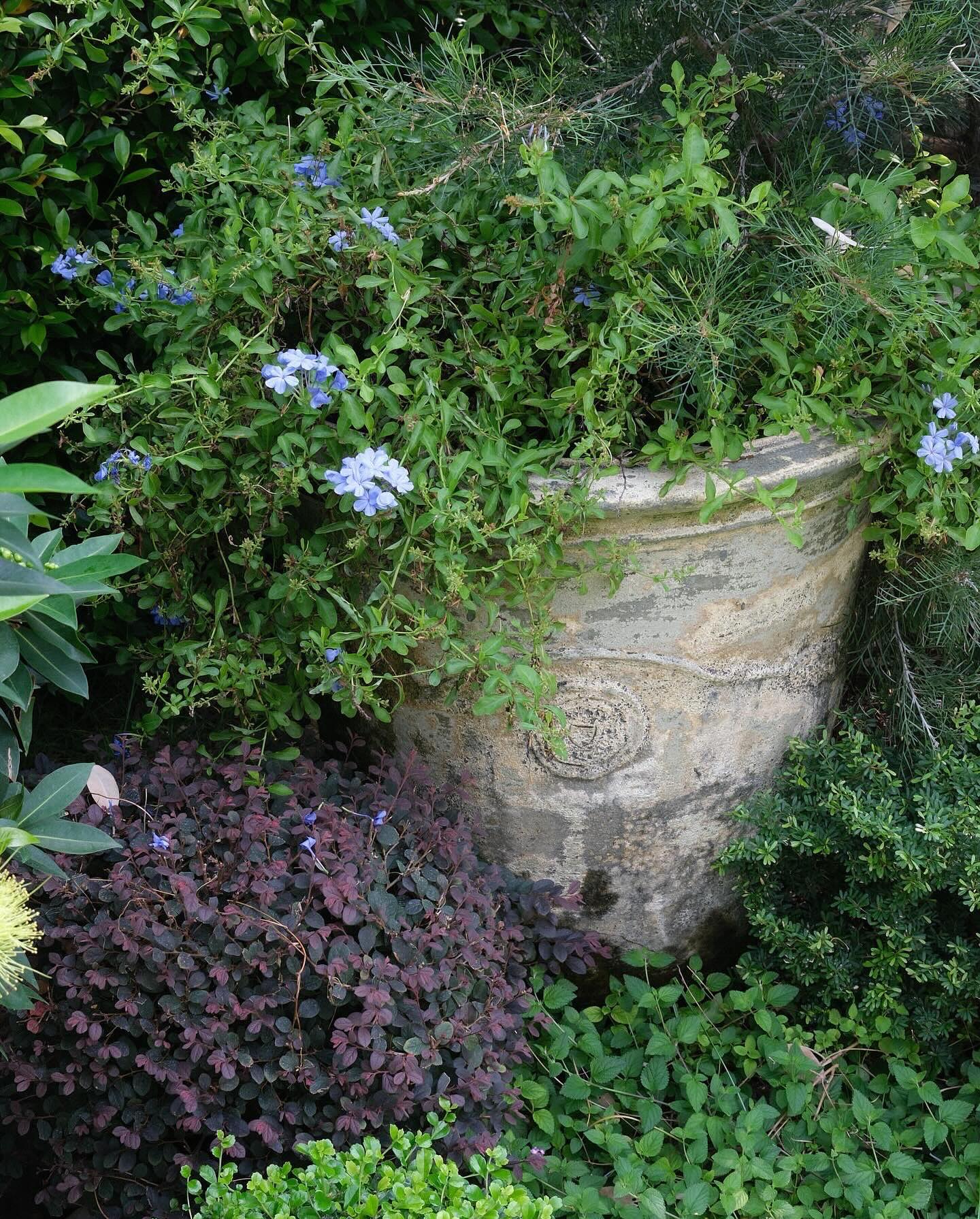 หมาก - ปริญ สุภารัตน์