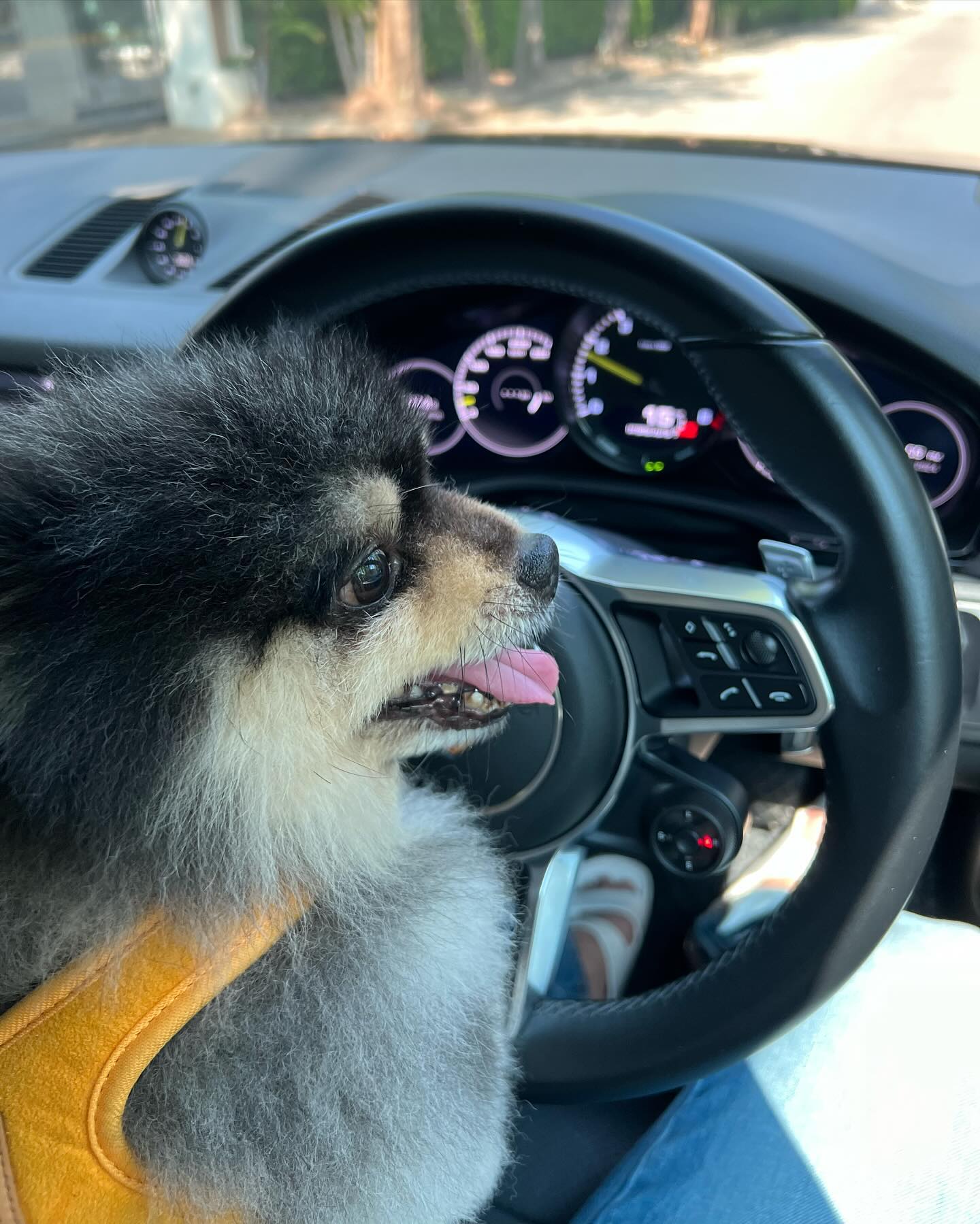 หมาก - ปริญ สุภารัตน์