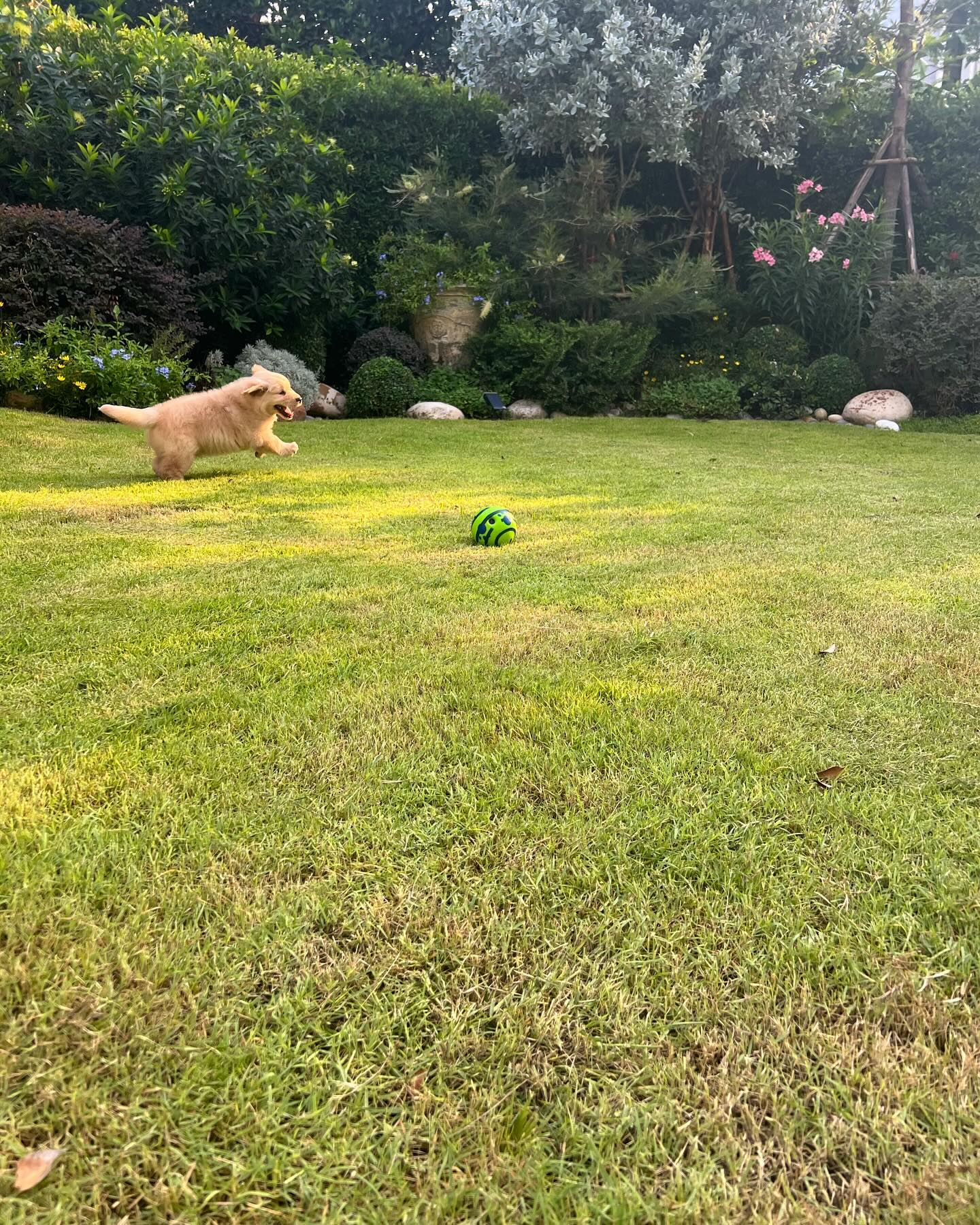 หมาก - ปริญ สุภารัตน์