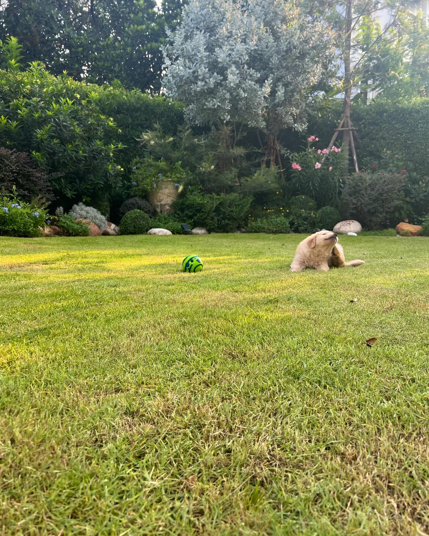 หมาก - ปริญ สุภารัตน์