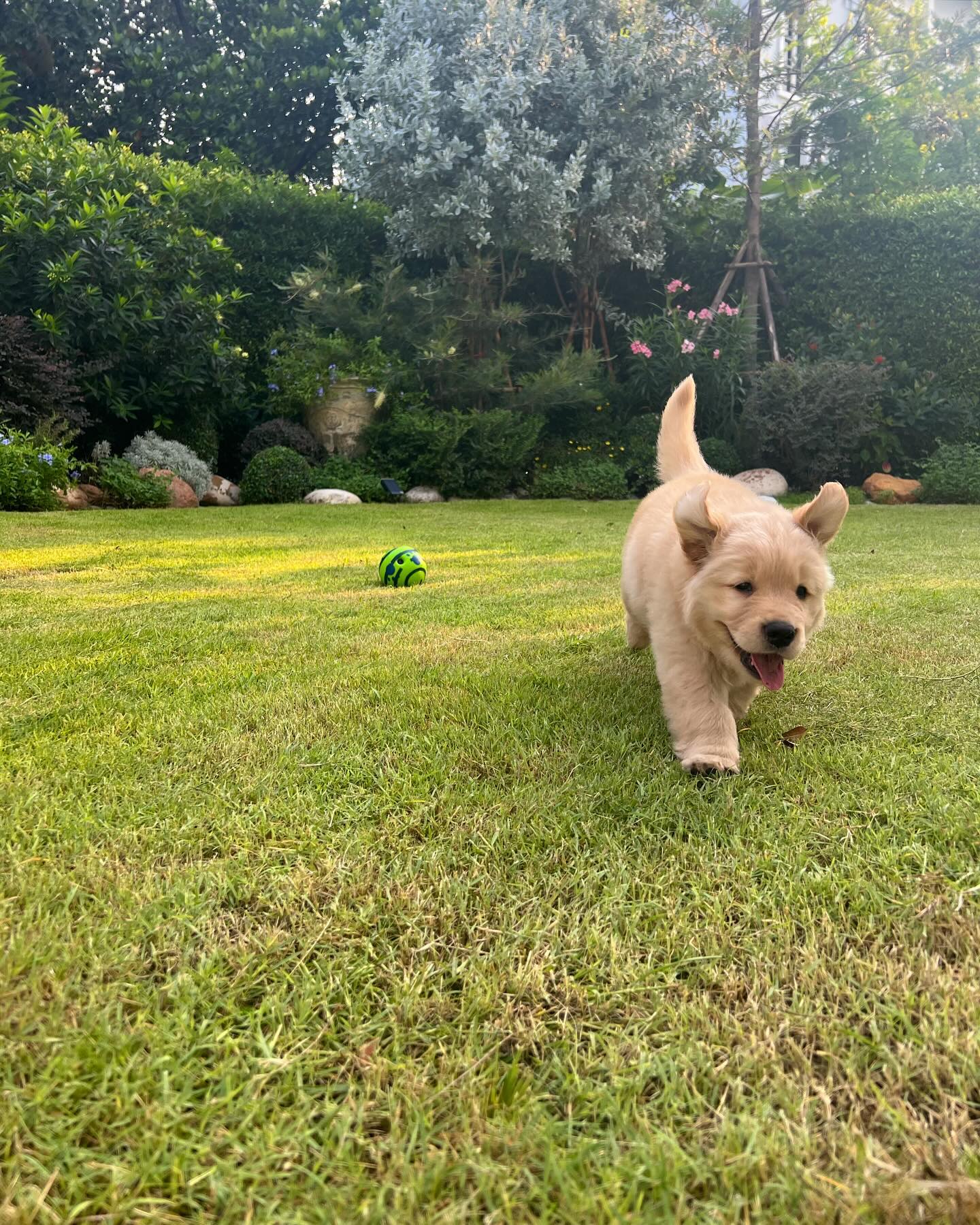 หมาก - ปริญ สุภารัตน์