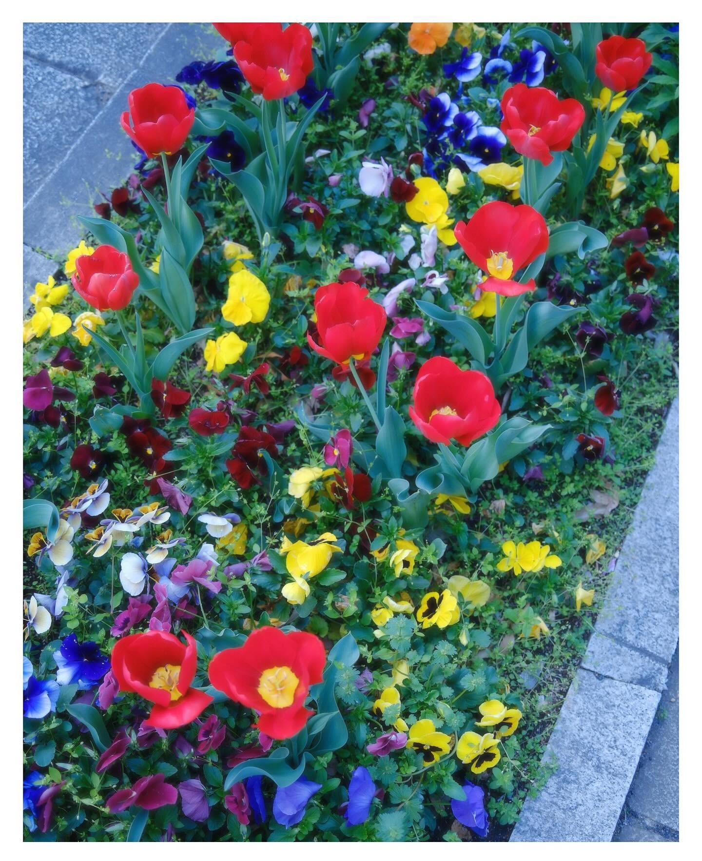 หมาก - ปริญ สุภารัตน์