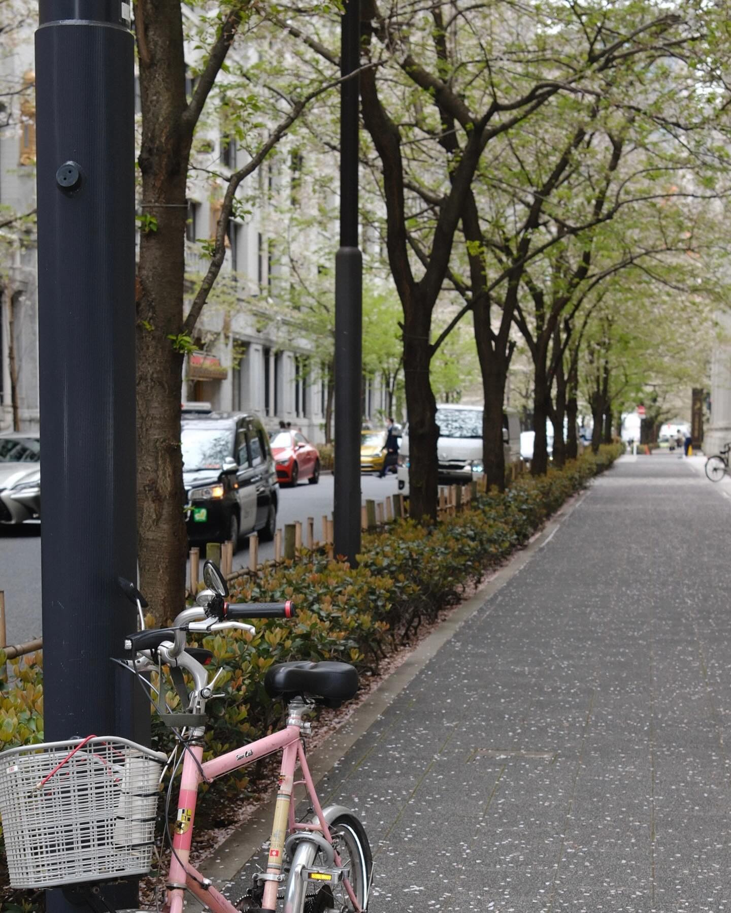 หมาก - ปริญ สุภารัตน์