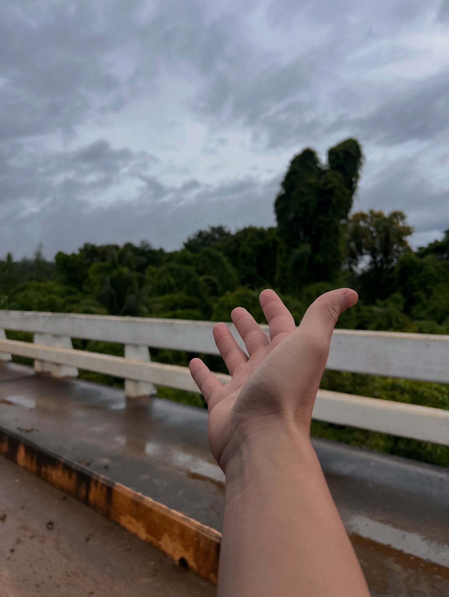 หมาก - ปริญ สุภารัตน์