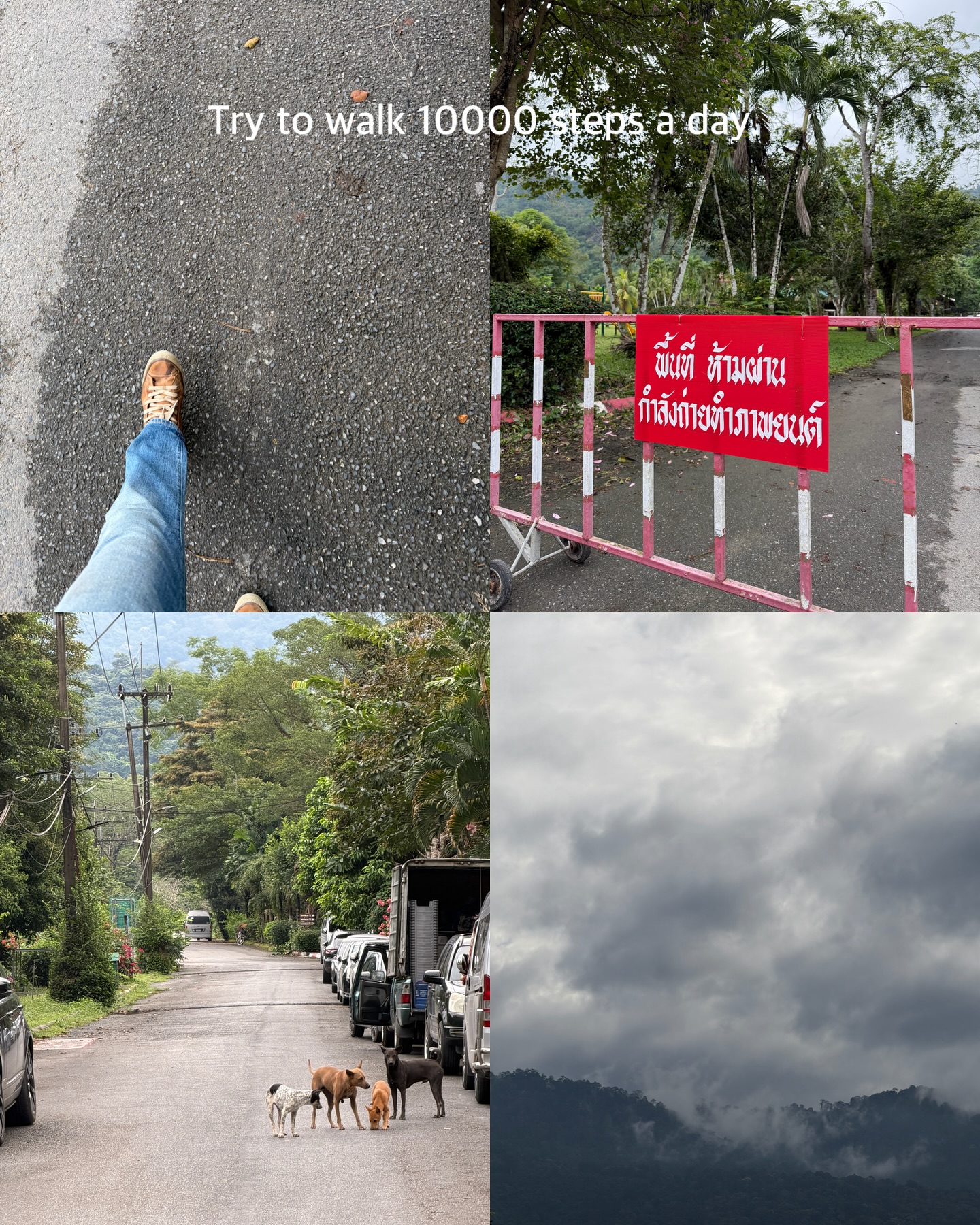 หมาก - ปริญ สุภารัตน์