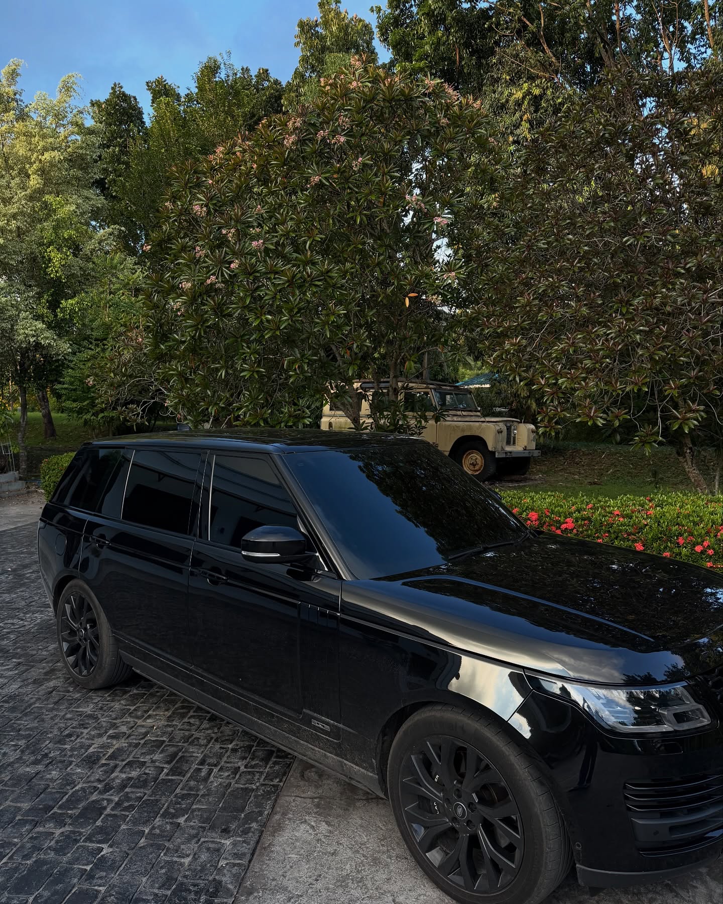 หมาก - ปริญ สุภารัตน์