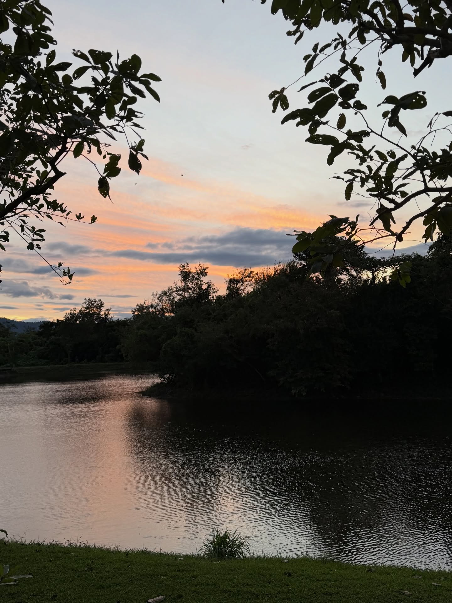 หมาก - ปริญ สุภารัตน์