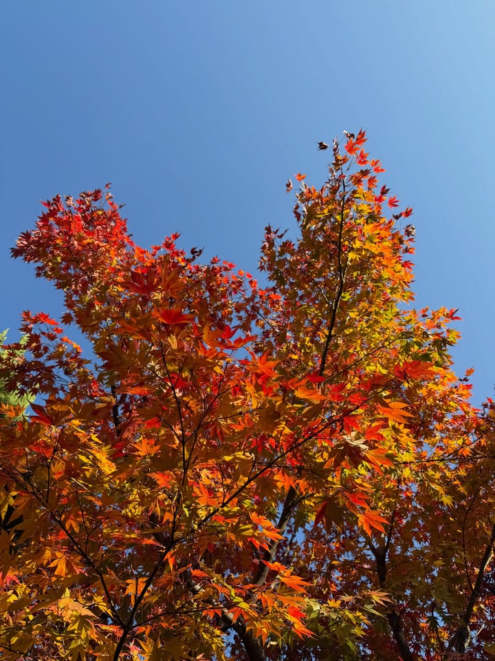 หมาก - ปริญ สุภารัตน์