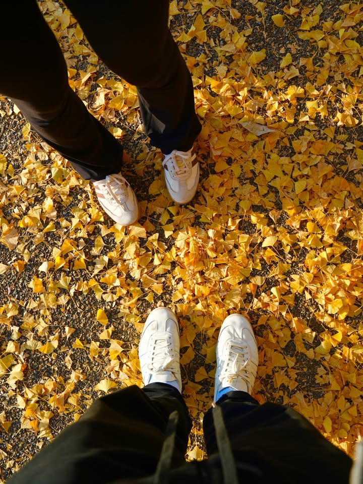 หมาก - ปริญ สุภารัตน์