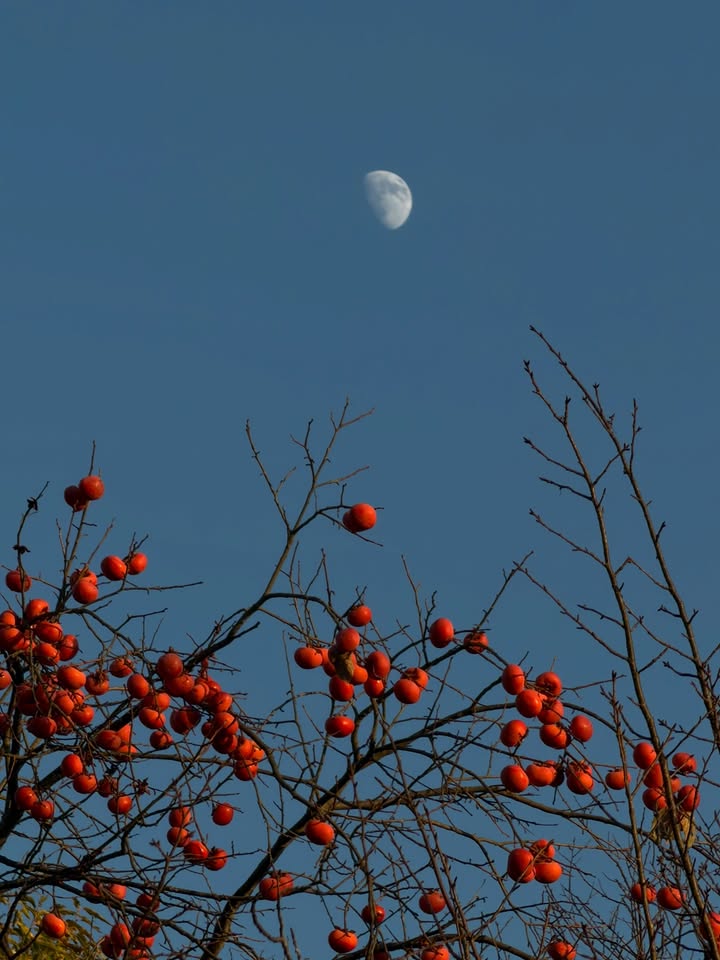 หมาก - ปริญ สุภารัตน์