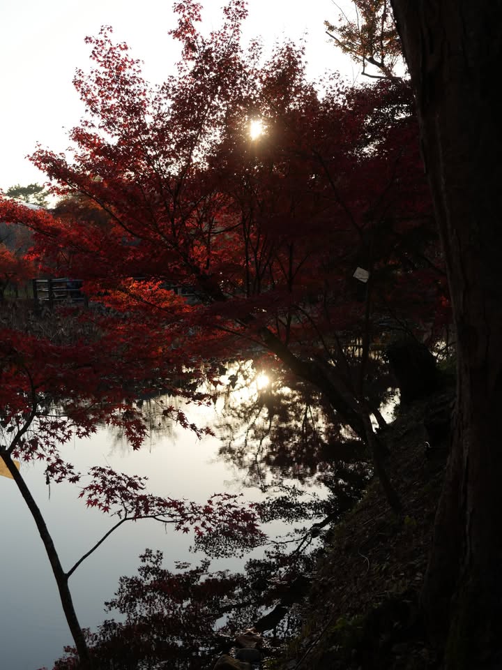 หมาก - ปริญ สุภารัตน์