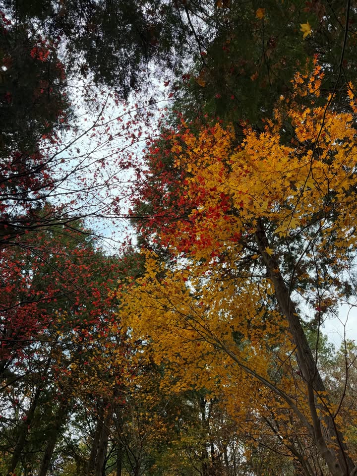 หมาก - ปริญ สุภารัตน์