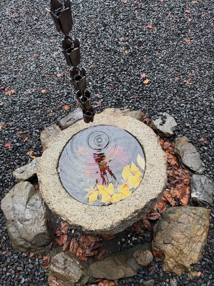 หมาก - ปริญ สุภารัตน์