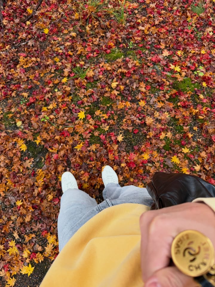 หมาก - ปริญ สุภารัตน์