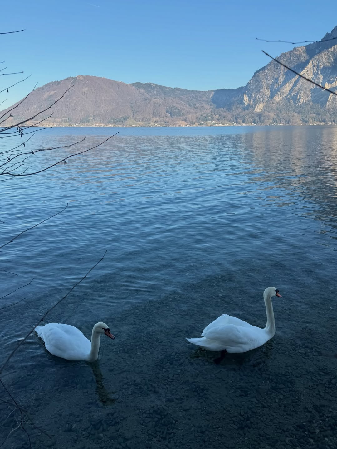 หมาก - ปริญ สุภารัตน์