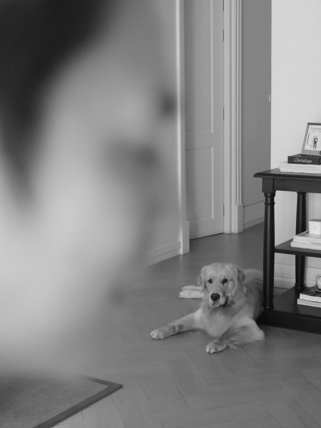 หมาก - ปริญ สุภารัตน์