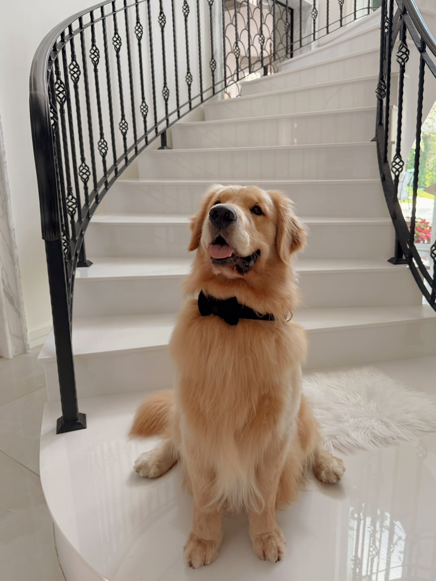 หมาก - ปริญ สุภารัตน์