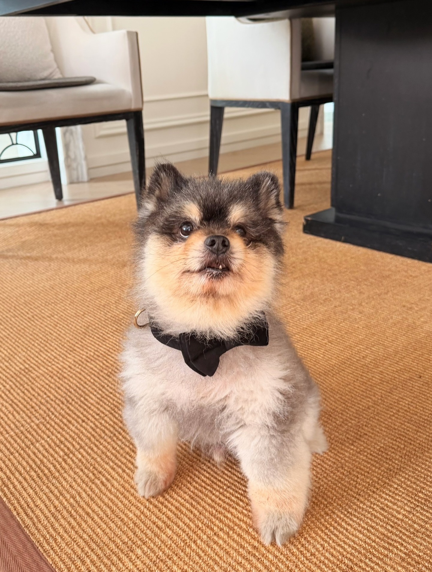 หมาก - ปริญ สุภารัตน์