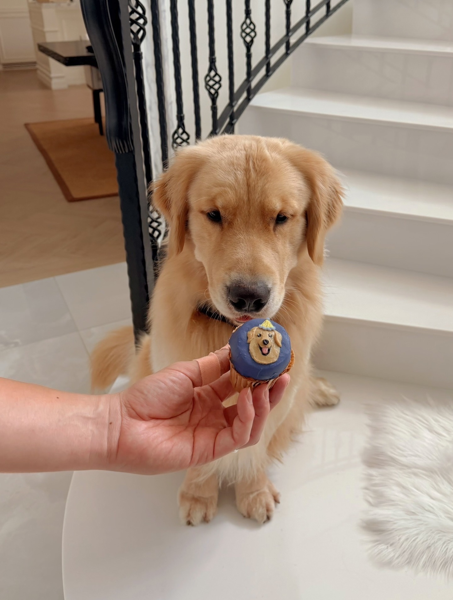 หมาก - ปริญ สุภารัตน์