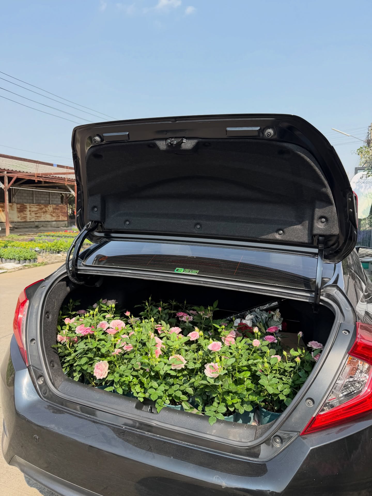 หมาก - ปริญ สุภารัตน์