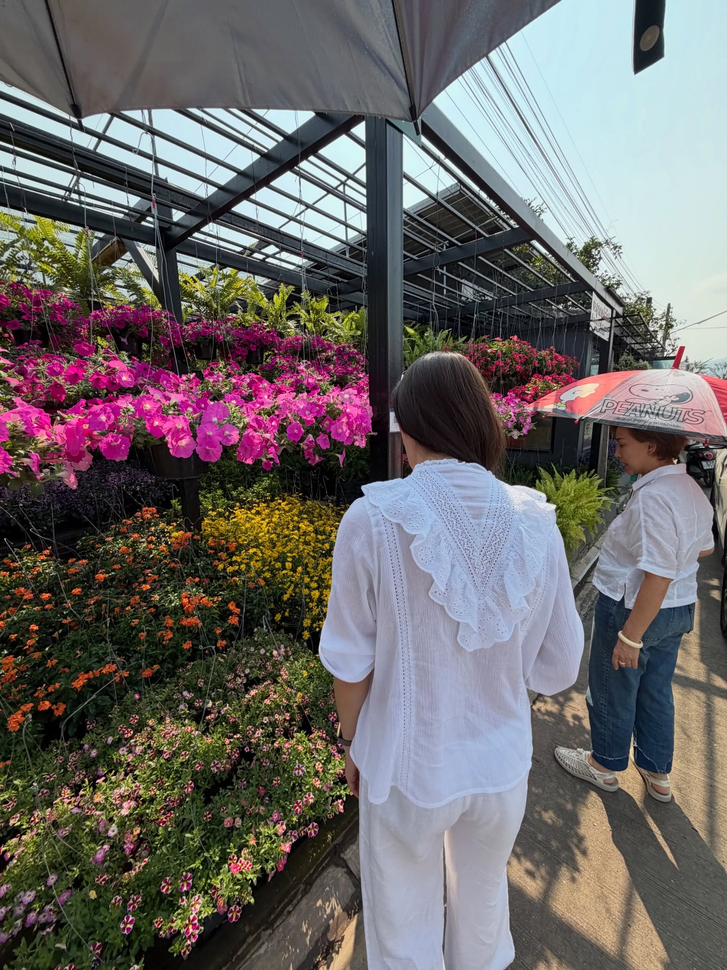 หมาก - ปริญ สุภารัตน์