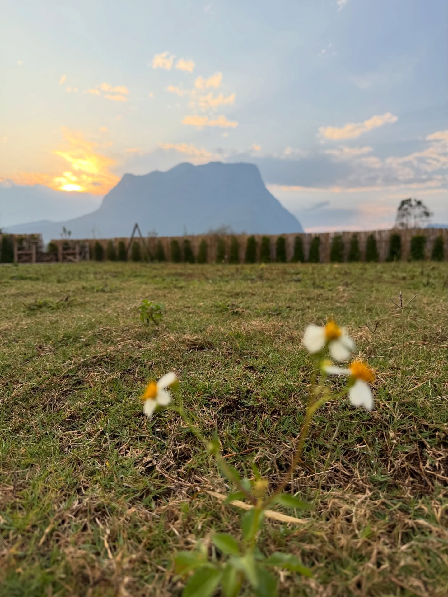 หมาก - ปริญ สุภารัตน์