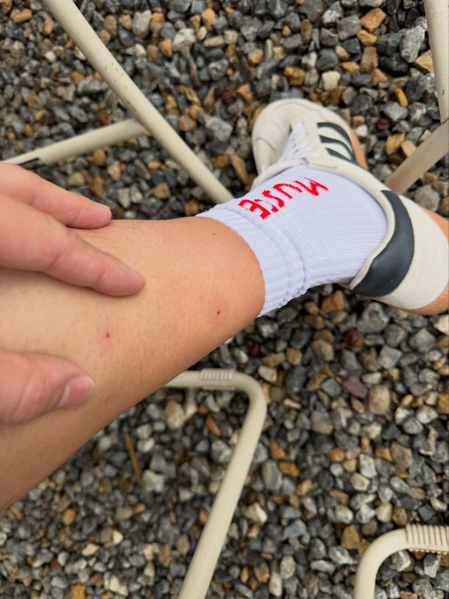 หมาก - ปริญ สุภารัตน์