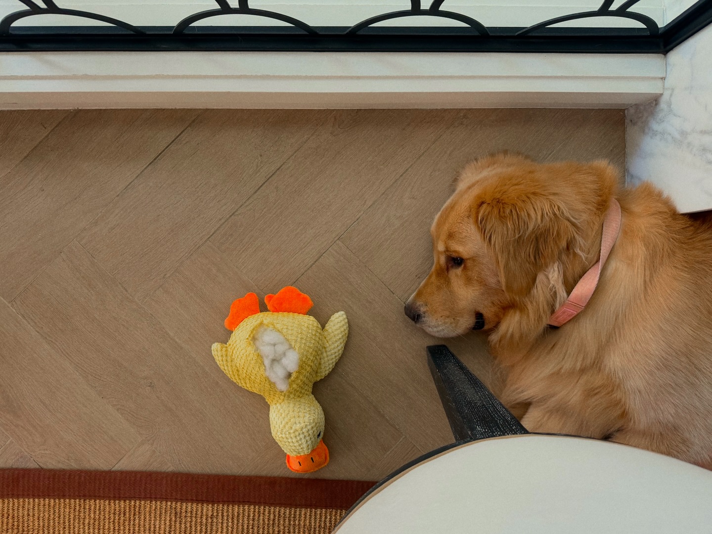 หมาก - ปริญ สุภารัตน์